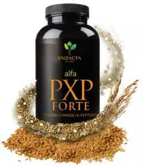 pxp-forte-energy